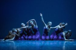ms-425