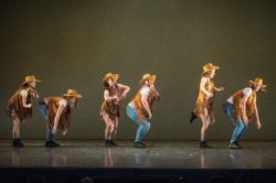 ms-559