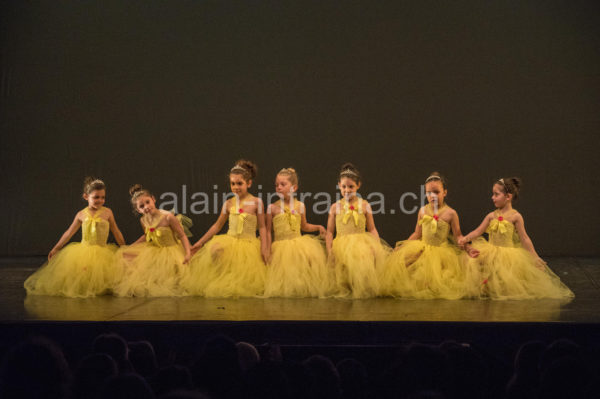ms-531