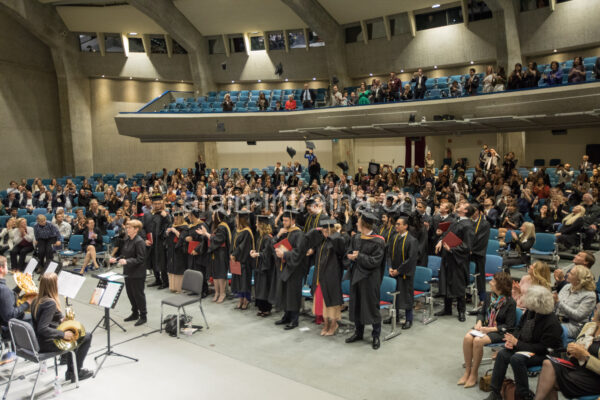f2019-650